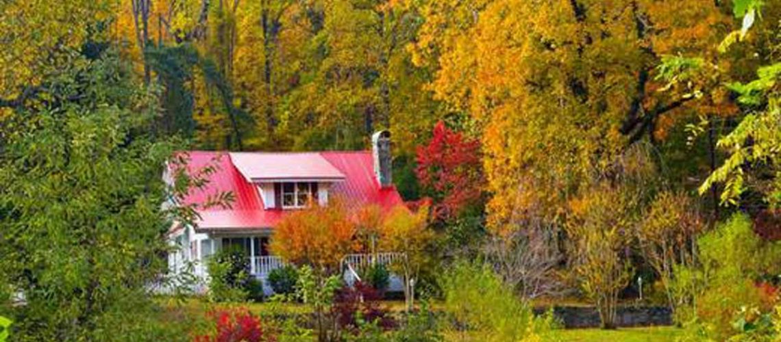 1_3404ce0f-d255-44ce-b1bc-c2019a2be82c_520x500