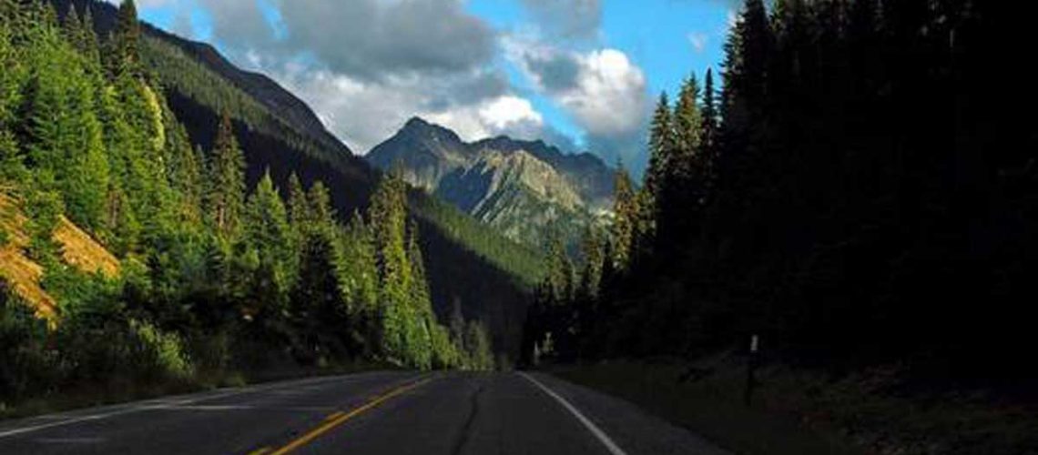 1_d9bb08e4-a859-44c3-9f0f-5844cc190190_520x500