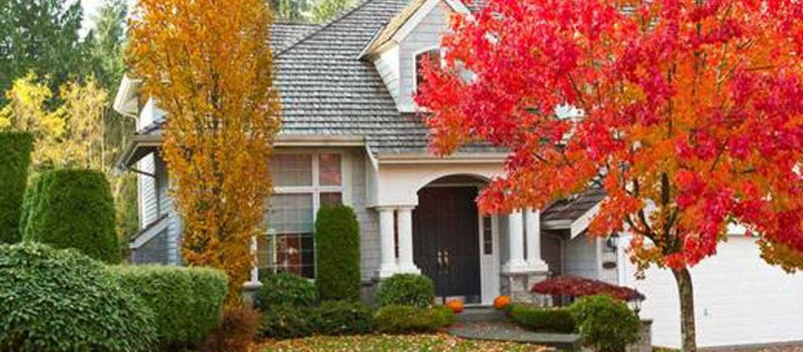 1_e340a649-0aa9-4e52-823c-ae2828a5dfbf_520x500