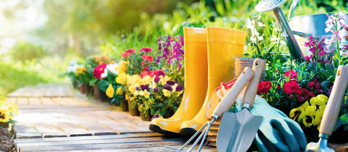 Healthier-home-products-dirt-outside