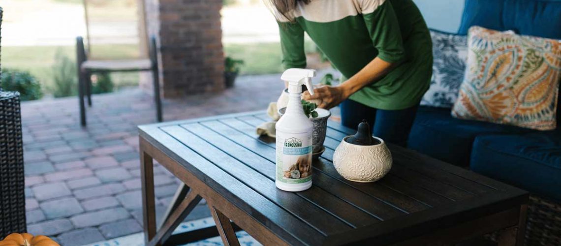 Healthier-home-products-easy-halloween-cleanup